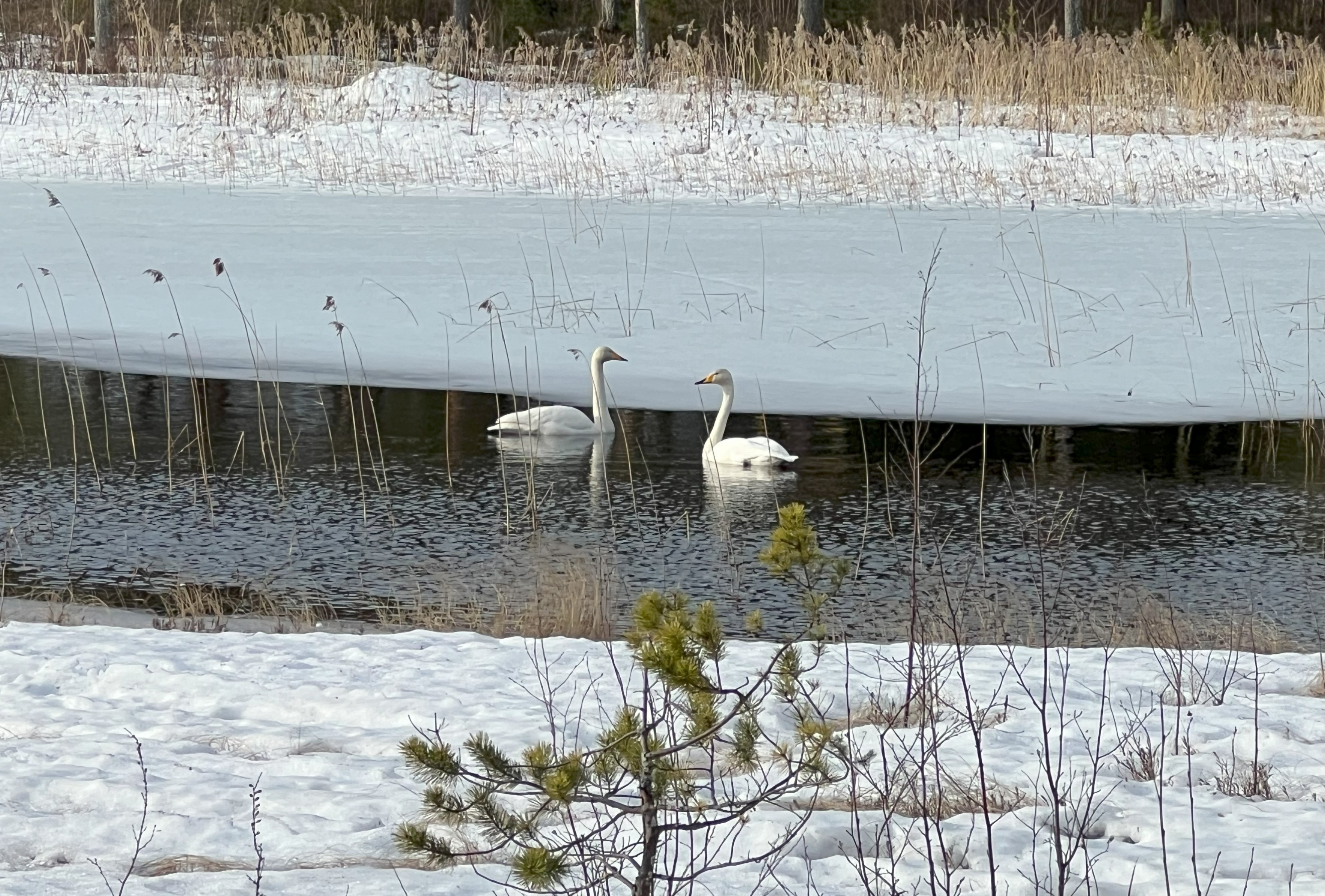 Avvikande öppettider i april